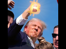 https://image.noelshack.com/fichiers/2024/29/2/1721130300-trumpbtc.jpg