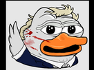 https://image.noelshack.com/fichiers/2024/29/2/1721137394-canard.png