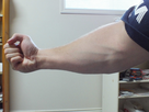 https://www.noelshack.com/2024-29-2-1721137838-how-to-make-your-skinny-forearms-bigger-my-forearm-workout-routine.jpg