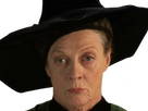 https://image.noelshack.com/fichiers/2024/29/2/1721144557-mcgonagall-1.png