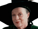 https://image.noelshack.com/fichiers/2024/29/2/1721144557-mcgonagall-3.png