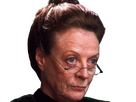 https://image.noelshack.com/fichiers/2024/29/2/1721144701-mcgonagall-5.png