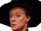 https://image.noelshack.com/fichiers/2024/29/2/1721144701-mcgonagall-6.png