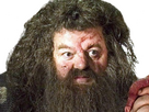 https://image.noelshack.com/fichiers/2024/29/2/1721146211-hagrid-1.png