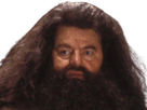 https://image.noelshack.com/fichiers/2024/29/2/1721146211-hagrid-2.png