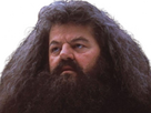 https://image.noelshack.com/fichiers/2024/29/2/1721146211-hagrid-3.png