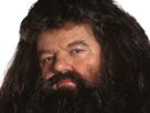 https://image.noelshack.com/fichiers/2024/29/2/1721146211-hagrid-4.png