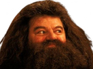 https://image.noelshack.com/fichiers/2024/29/2/1721146246-hagrid-5.png