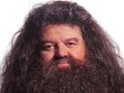 https://image.noelshack.com/fichiers/2024/29/2/1721146246-hagrid-6.png