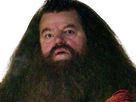 https://image.noelshack.com/fichiers/2024/29/2/1721146246-hagrid-7.png