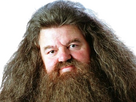 https://image.noelshack.com/fichiers/2024/29/2/1721146246-hagrid-8.png