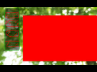 https://www.noelshack.com/2024-29-5-1721385486-sitev1.jpg
