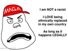 https://image.noelshack.com/fichiers/2024/29/5/1721403609-img-2852.jpeg