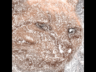 https://image.noelshack.com/minis/2024/29/5/1721406496-weird-stare.png