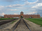 https://image.noelshack.com/fichiers/2024/29/7/1721565804-640px-birkenau-gate.jpeg