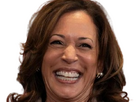 https://image.noelshack.com/fichiers/2024/30/2/1721699293-screenshot-2024-07-23-at-03-37-41-1444x920-us-vice-president-kamala-harris-speaks-during-a-campaign-event-at-westover-high-school-in-fayetteville-north-carolina-on-july-18-2024-photo-by-allison-joyce-1.png