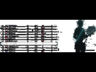 https://image.noelshack.com/fichiers/2024/30/3/1721831892-tiebreak-gif-07.gif