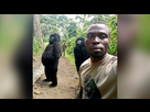 https://image.noelshack.com/fichiers/2024/30/4/1721896835-190422153943-gorillas-selfie-virunga-national-park.jpg