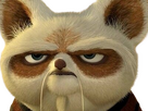 https://image.noelshack.com/fichiers/2024/30/4/1721944168-sr-maitre-shifu-4.png