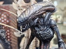 https://www.noelshack.com/2024-30-5-1721985048-sdcc24-neca-alien-004.jpg