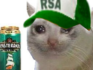 https://www.noelshack.com/2024-30-5-1722021889-20472-full.png