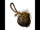 https://image.noelshack.com/fichiers/2024/30/7/1722172721-er-icon-pot-roped-fetid.png