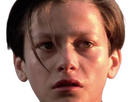 https://image.noelshack.com/fichiers/2024/31/1/1722205162-edward-furlong-10.png