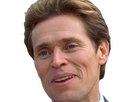 https://image.noelshack.com/fichiers/2024/31/1/1722249748-willem-dafoe-norman-osborn-42.png