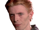 https://image.noelshack.com/minis/2024/31/2/1722352252-david-bowie-thomas-newton-4.png