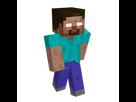 https://www.noelshack.com/2024-31-3-1722460031-herobrine.png