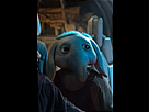 https://image.noelshack.com/fichiers/2024/31/4/1722488206-img-20240801-065625.png