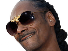 https://image.noelshack.com/fichiers/2024/31/4/1722505548-snoop-dogg-27.png