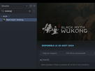 https://www.noelshack.com/2024-31-4-1722539383-wukong.png