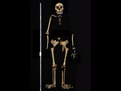 https://image.noelshack.com/minis/2024/31/6/1722692356-img-9579.png