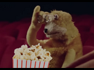 https://image.noelshack.com/fichiers/2024/31/7/1722788398-flat-eric-cin-ma.png