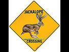 https://www.noelshack.com/2024-31-7-1722798277-jackalope-cc-07.jpg