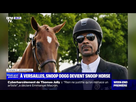 https://image.noelshack.com/minis/2024/31/7/1722801176-jo-2024-snoop-dogg-habille-en-cavalier-fait-sensation-a-versailles-1914593.png