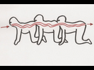 https://www.noelshack.com/2024-32-3-1723036684-the-human-centipede-3.jpg