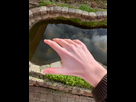 https://image.noelshack.com/minis/2024/32/4/1723121483-img-1349-1.png
