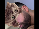 https://www.noelshack.com/2024-32-6-1723251311-img-0402.jpeg