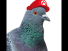 https://www.noelshack.com/2024-32-6-1723299786-pigeonintendo.png