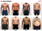 https://image.noelshack.com/fichiers/2024/32/7/1723408449-body-fat-percentage.png