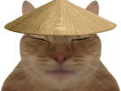 https://image.noelshack.com/fichiers/2024/33/5/1723836140-chat-chinois.png