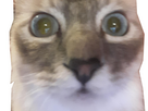 https://image.noelshack.com/minis/2024/33/6/1723888439-chokber.png