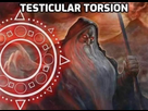 https://image.noelshack.com/minis/2024/33/7/1723953674-img-3906.png