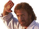 https://image.noelshack.com/fichiers/2024/34/1/1724068031-chuck-norris-6.png