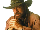 https://image.noelshack.com/fichiers/2024/34/1/1724068100-chuck-norris-12.png