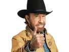 https://image.noelshack.com/fichiers/2024/34/1/1724068431-chuck-norris-16.png