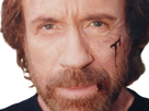 https://image.noelshack.com/fichiers/2024/34/1/1724070297-chuck-norris-38.png