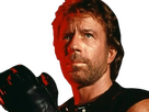 https://image.noelshack.com/fichiers/2024/34/1/1724071126-chuck-norris-41.png